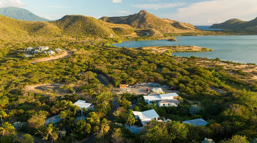 Sandy Bank Beach showing tranquil scenes, landscape views and general coastal views