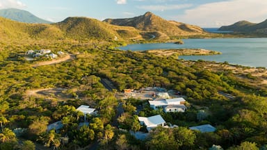 Sandy Bank Beach showing tranquil scenes, landscape views and general coastal views