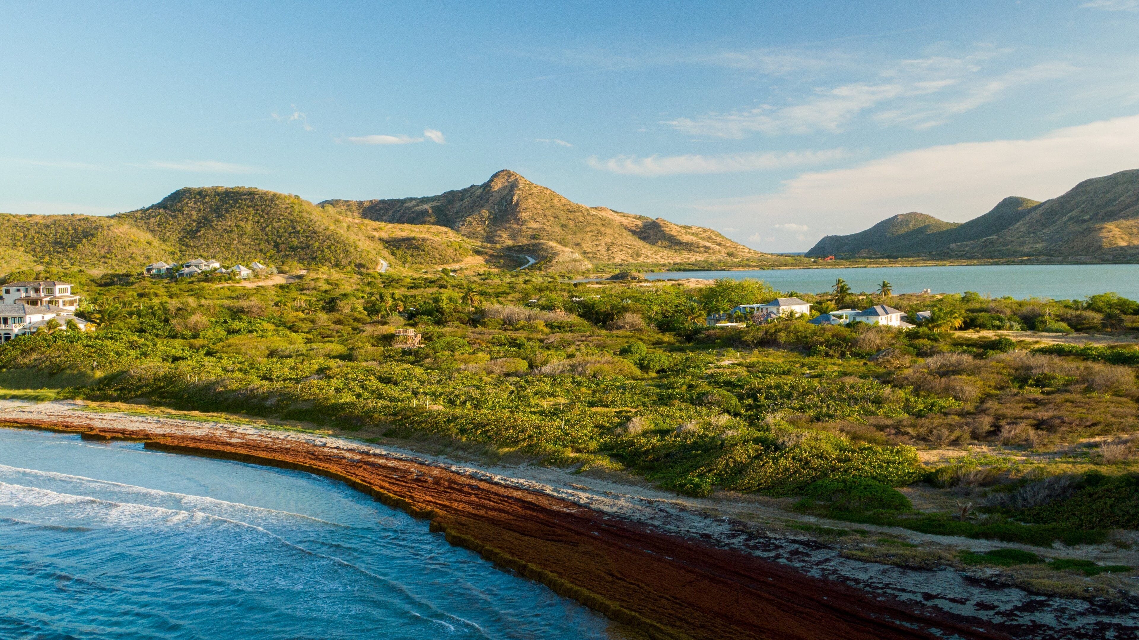 Sandy Bank Beach which includes general coastal views, landscape views and tranquil scenes