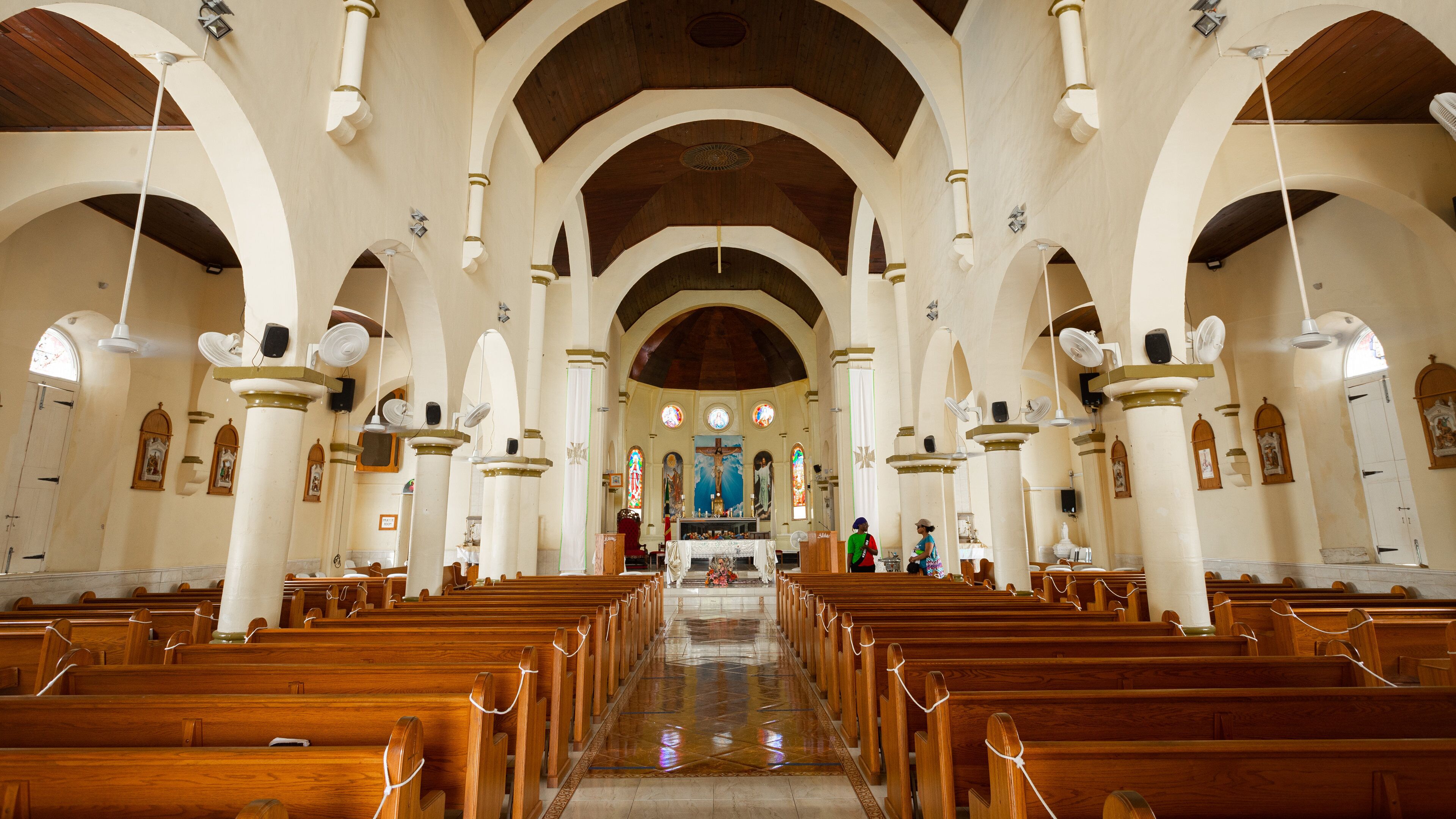 Basseterre Co-Cathedral of Immaculate Conception featuring a church or cathedral, interior views and heritage elements