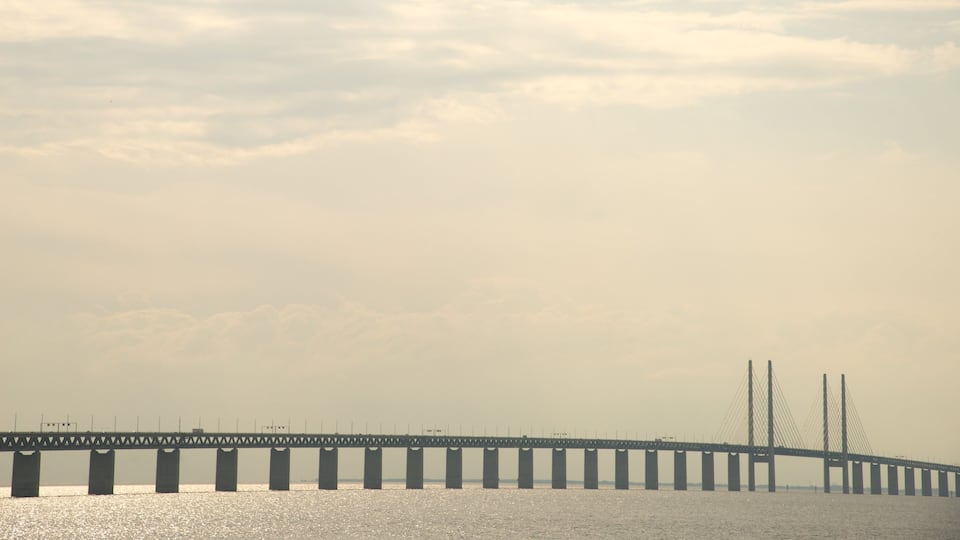 Oresund Bridge showing general coastal views and a bridge
