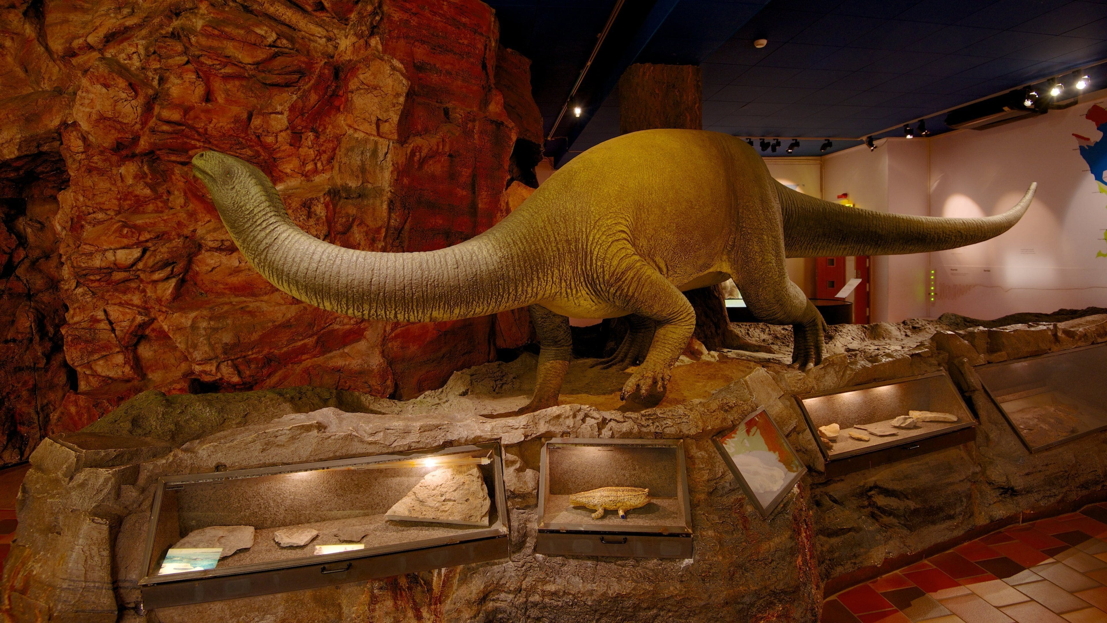 Malmohus mostrando vistas interiores