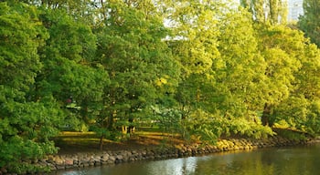 Kungsparken montrant mare et jardin