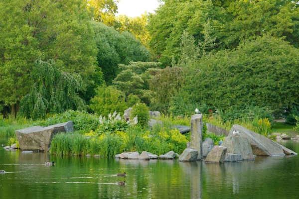 A pond surrounded by lush greenery and rocks.
