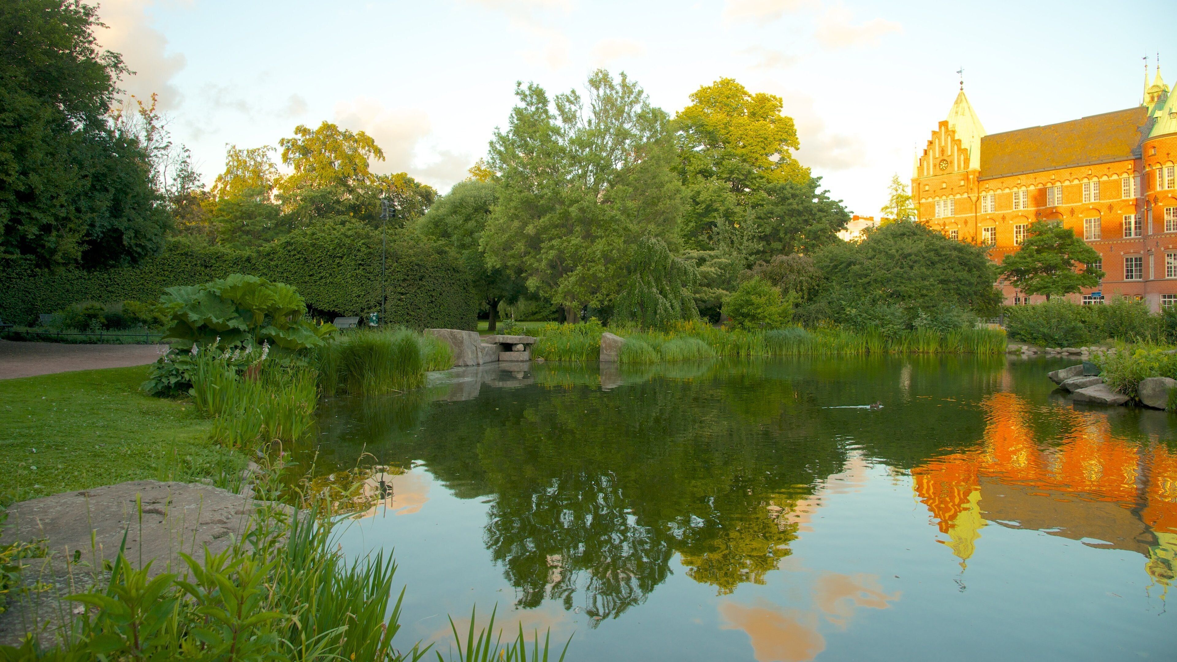 Kungsparken som viser dam og park