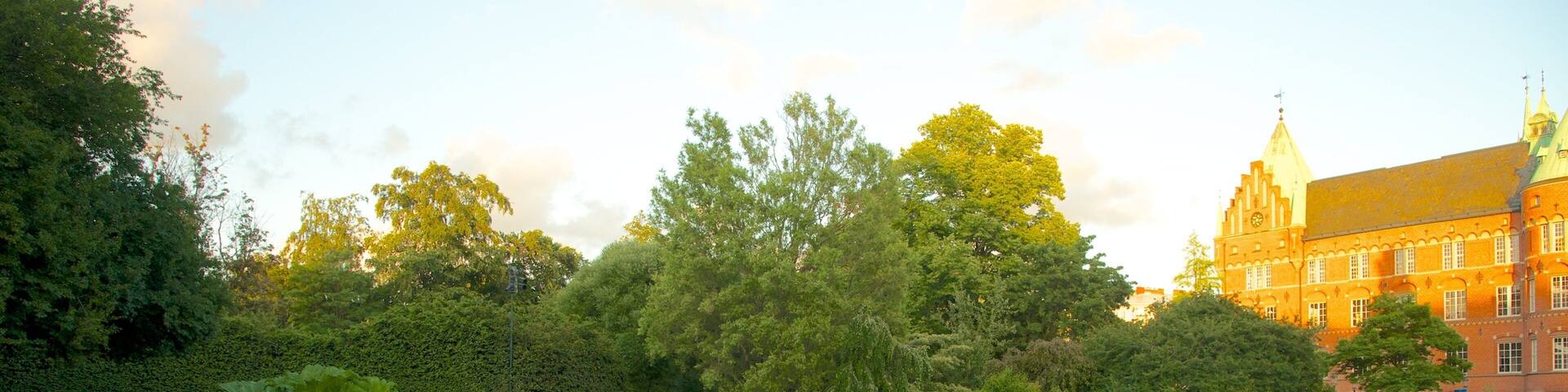 Kungsparken showing a pond and a park
