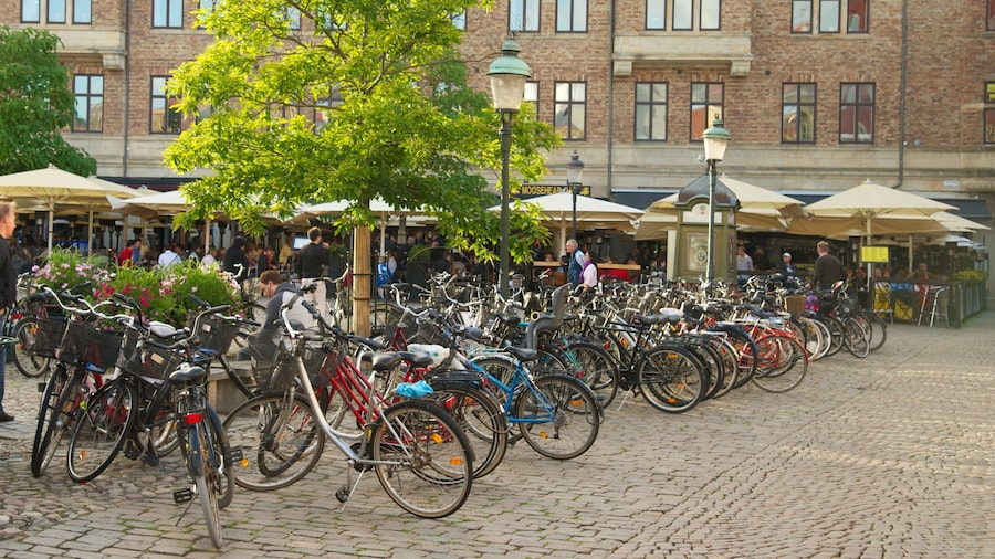 Lilla Torg featuring a square or plaza, cafe scenes and a city
