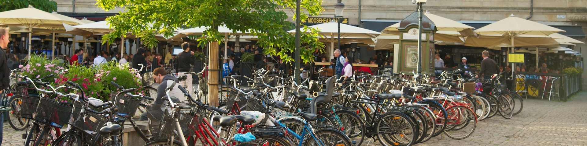 Lilla Torg featuring a square or plaza, cafe scenes and a city