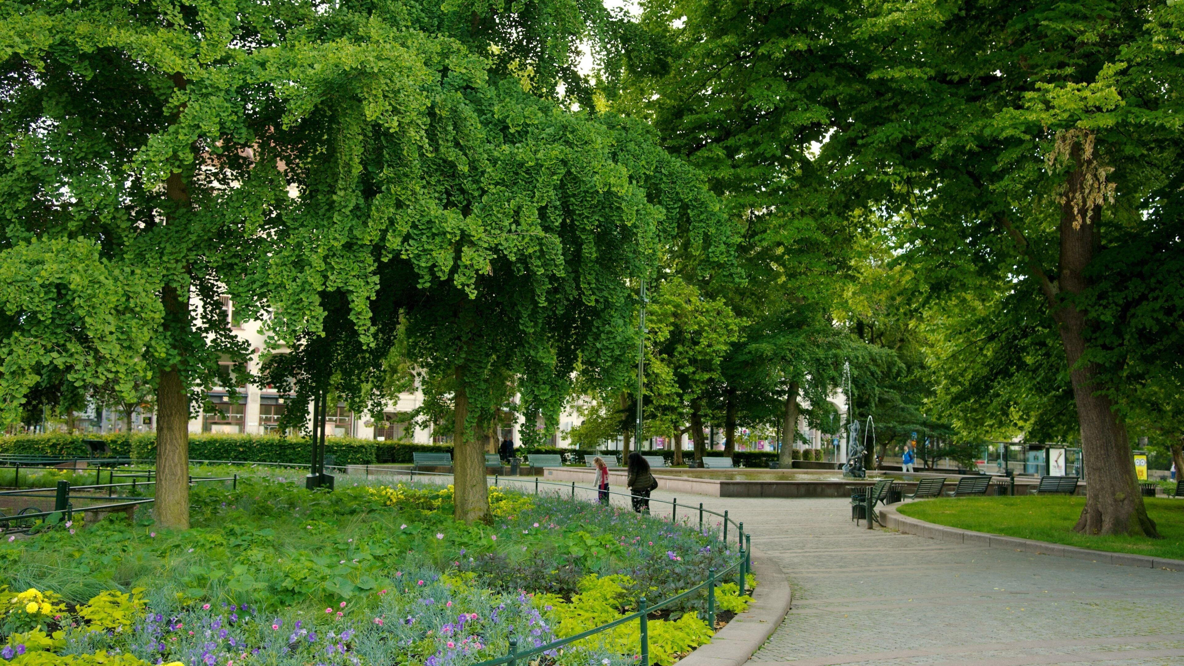 Plaza Gustav Adolf ofreciendo un parque