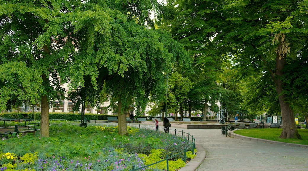 Gustav Adolf Square featuring a park
