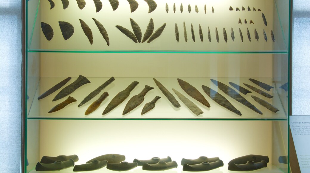 Museum of Gothenburg which includes interior views