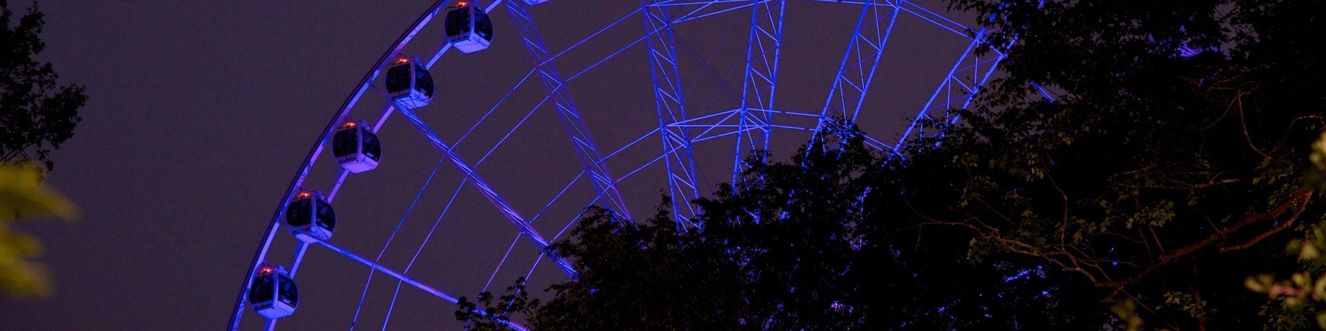 Liseberg Amusement Park featuring rides and night scenes