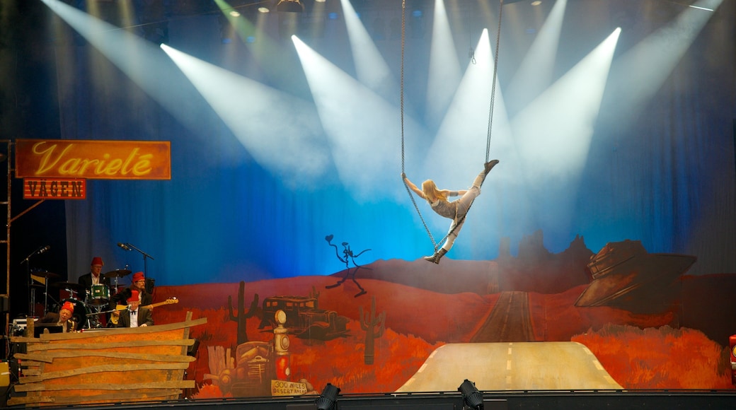 里瑟本遊樂園 设有 騎乘, 表演藝術 和 內部景觀