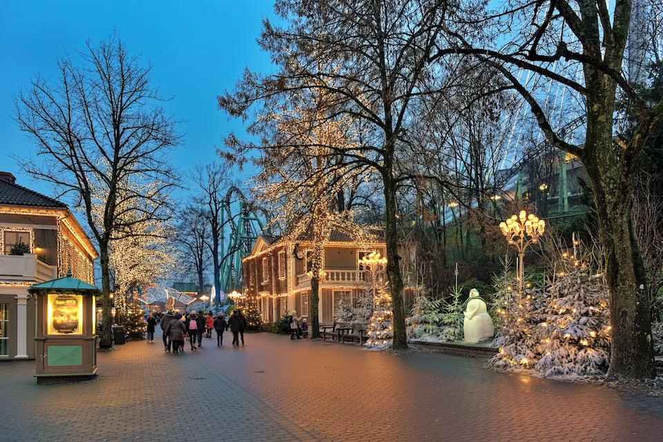 A tree-lined street with illuminated buildings and a snow-covered Christmas tree.