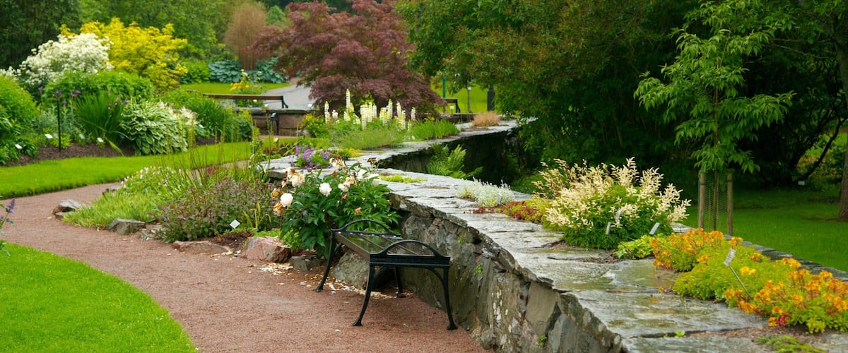 Botanic Gardens showing a park