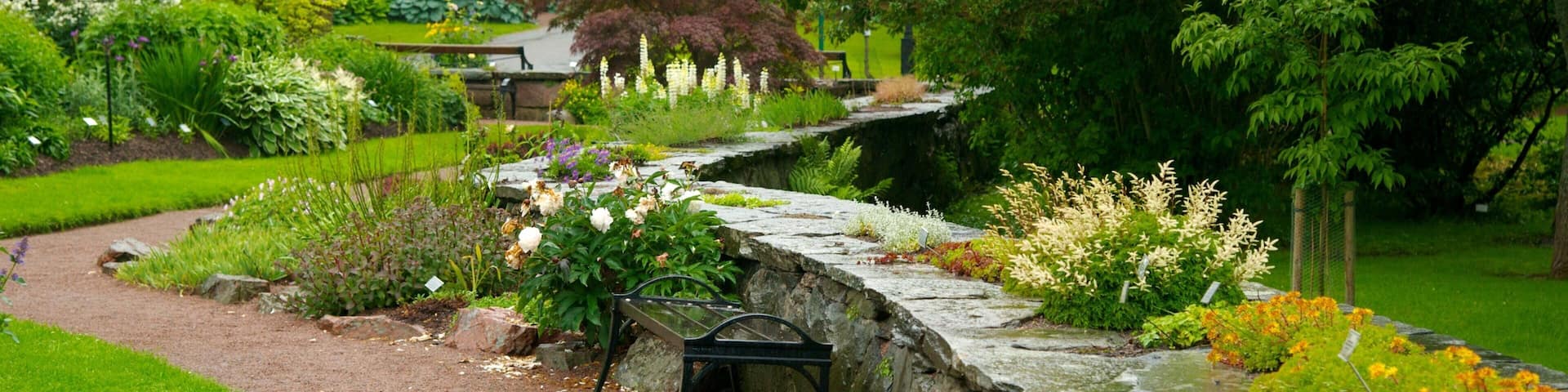 Botanischer Garten das einen Garten