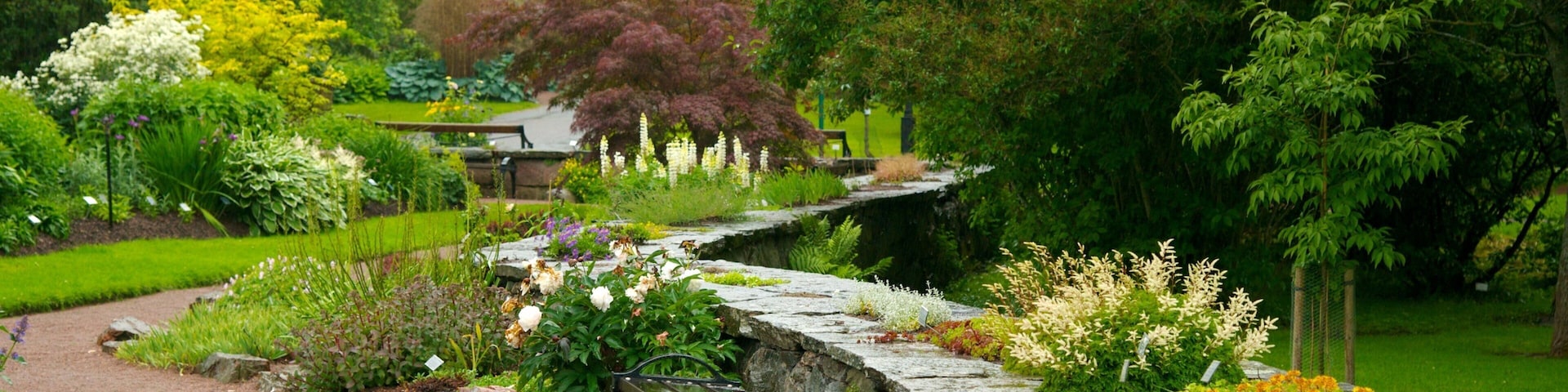 Botaniska Tradgarden que inclui um jardim