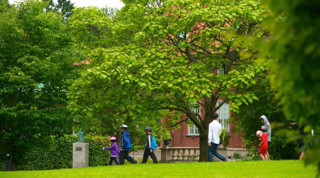 Botanic Gardens which includes a garden as well as a family