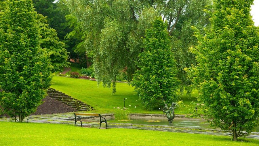 Botaniska Trädgården som viser dam og hage