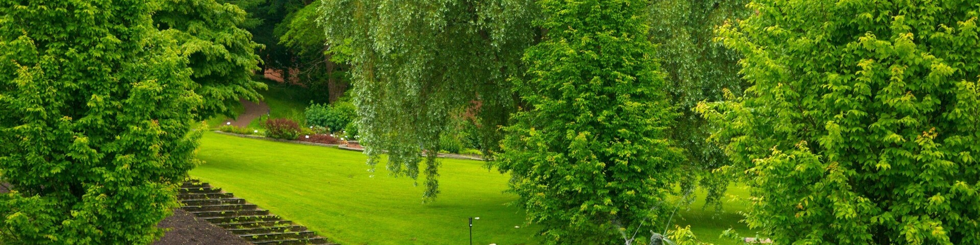 Botanic Gardens showing a park and a pond