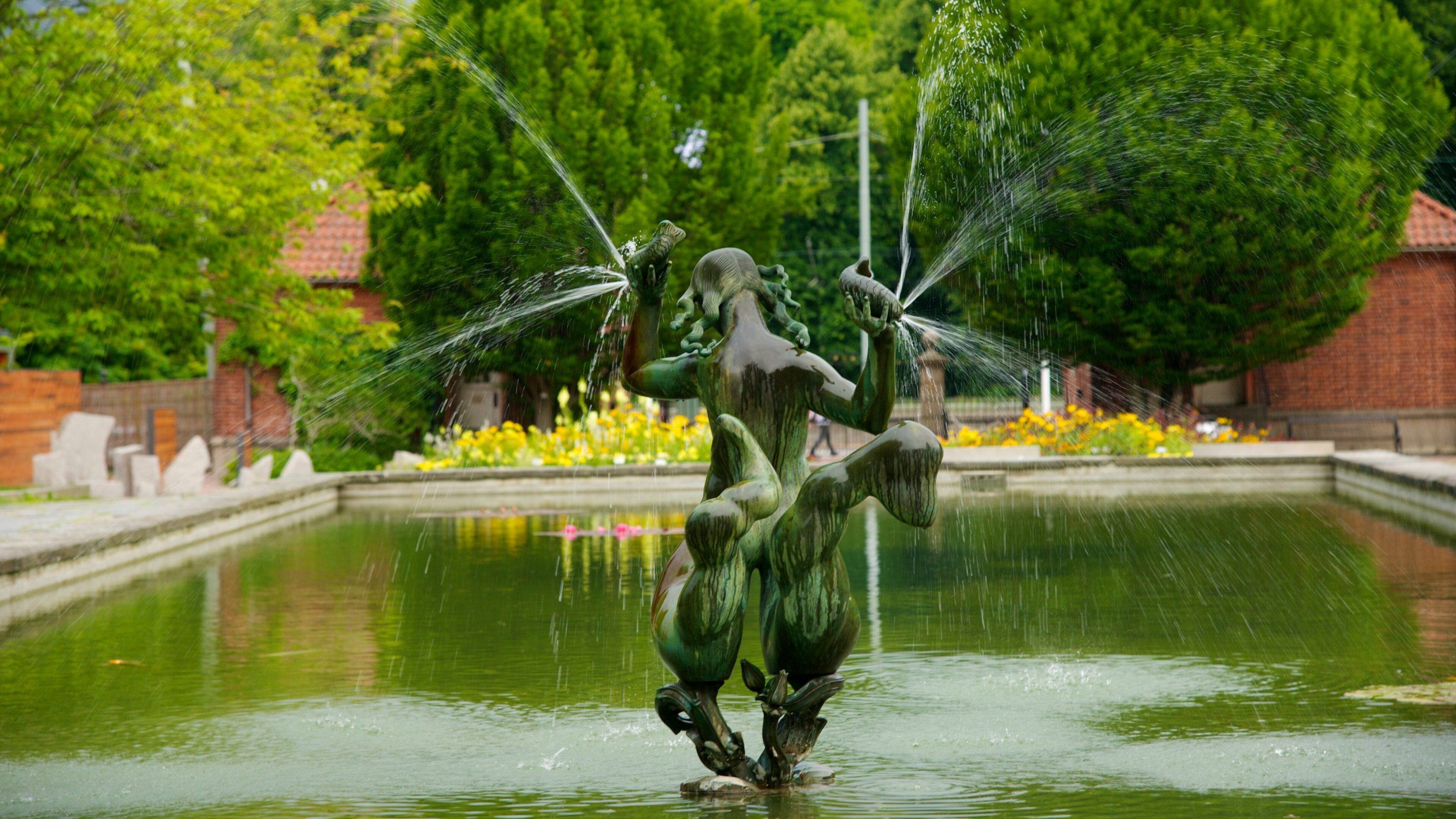 Botaniska Trädgården som viser dam, statue eller skulptur og fjell