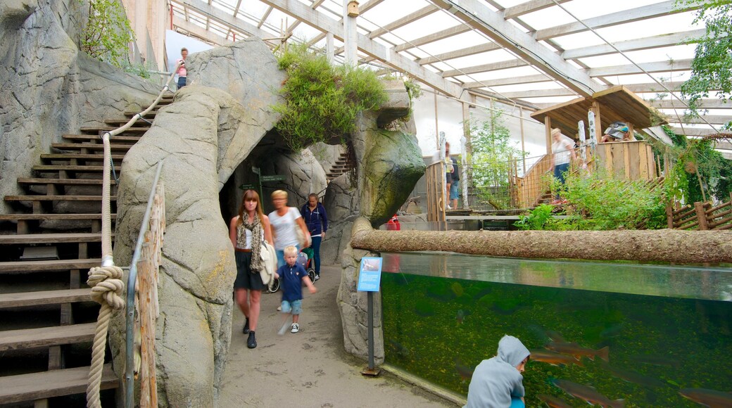 Universeum showing interior views and marine life as well as a small group of people