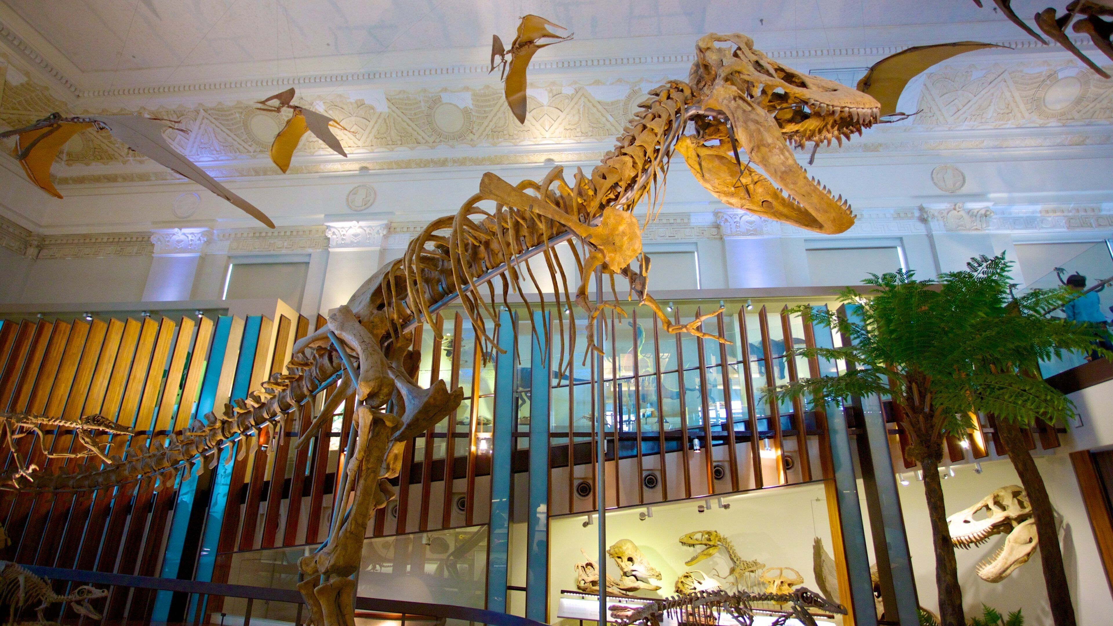 National Taiwan Museum which includes interior views