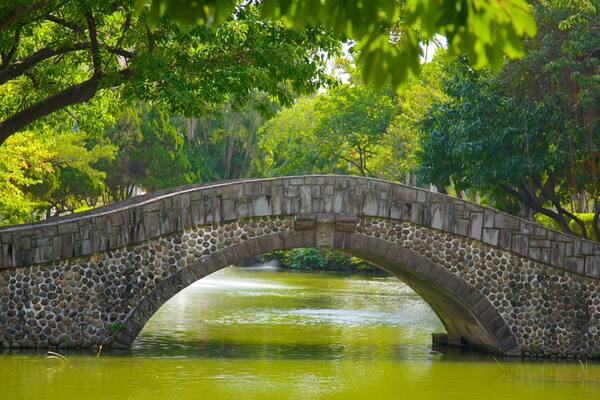 Taipei 228 Memorial Park which includes a bridge, a park and a lake or waterhole