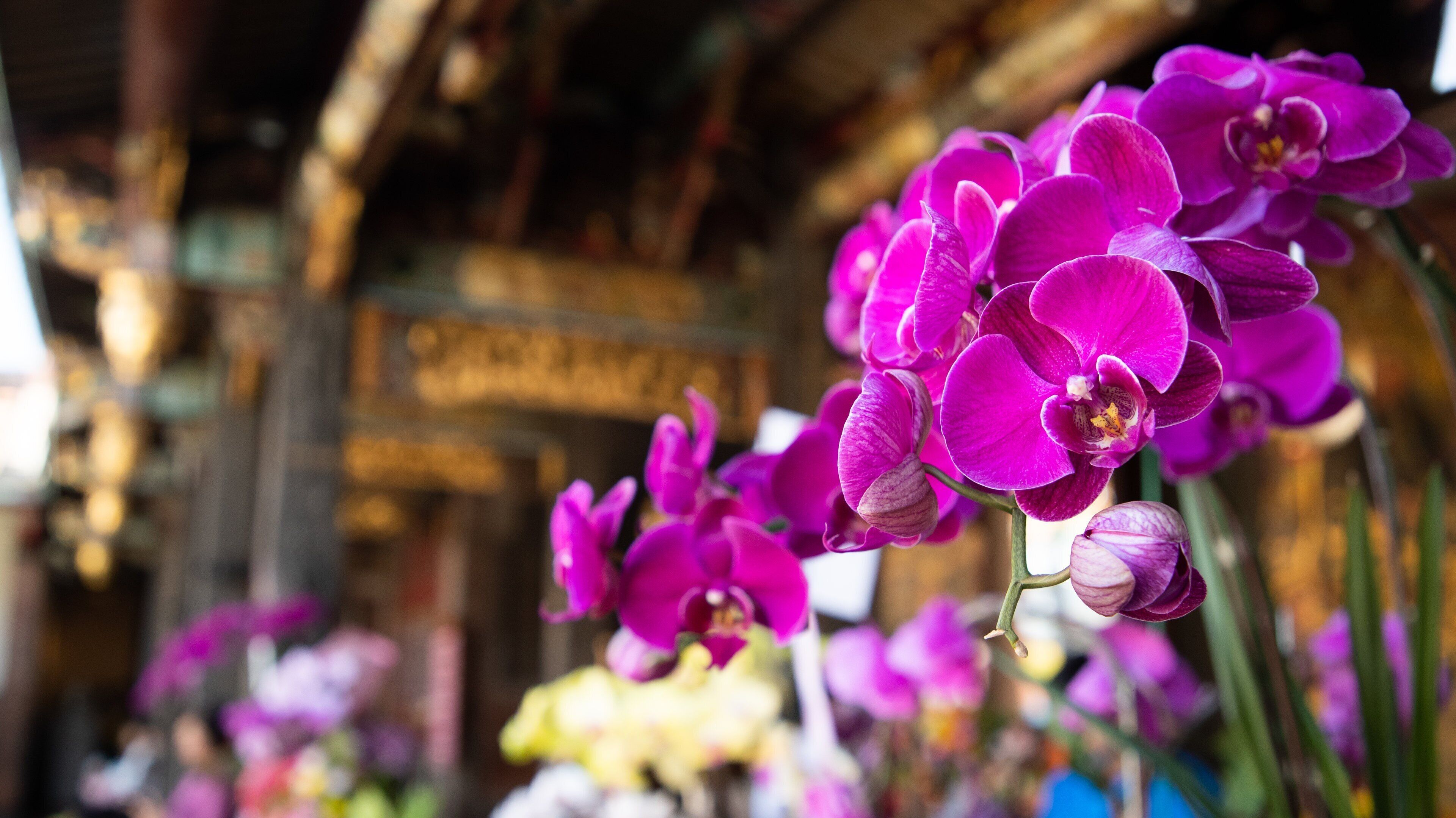 Baoan Temple showing flowers