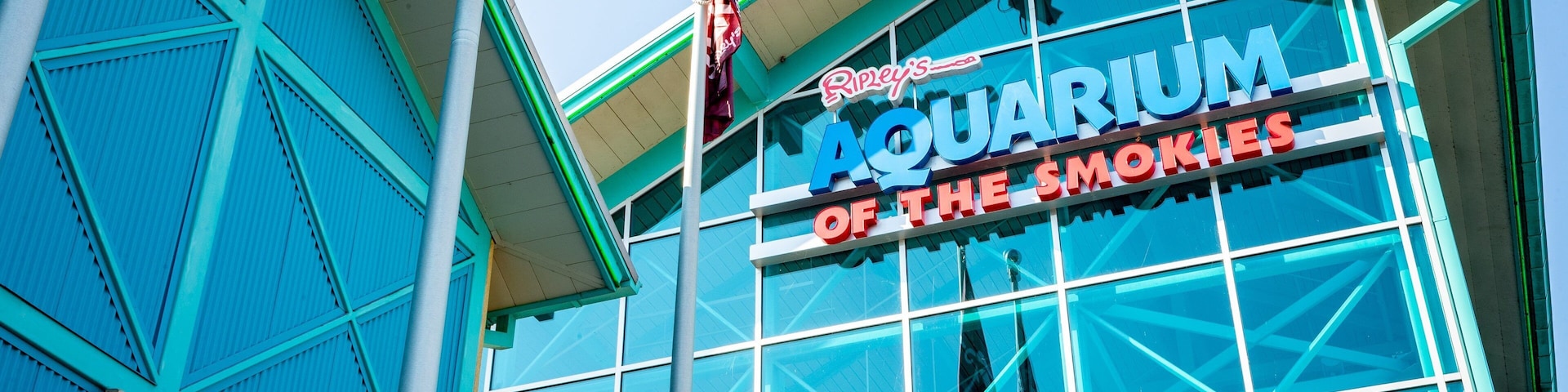 Ripley\'s Aquarium of the Smokies showing marine life and signage