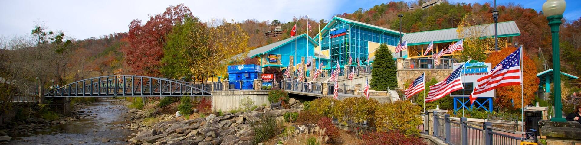 A river with rocks, a bridge, a building with American flags, and autumn trees.