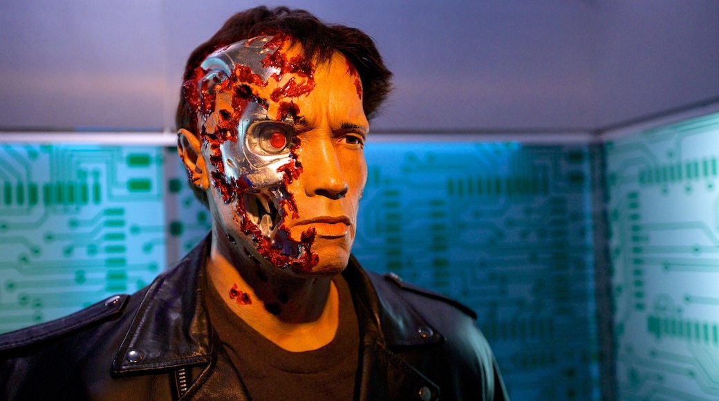 Hollywood Wax Museum showing interior views