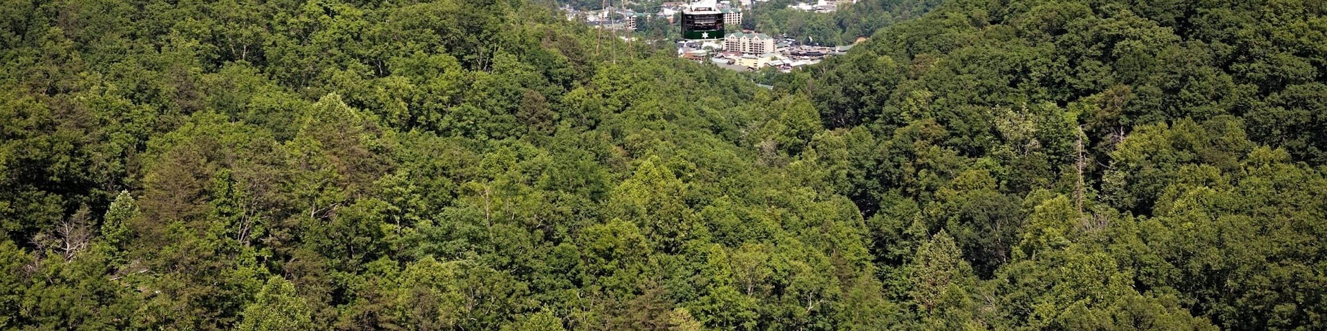 A cable car system in a mountainous area with dense green forests.