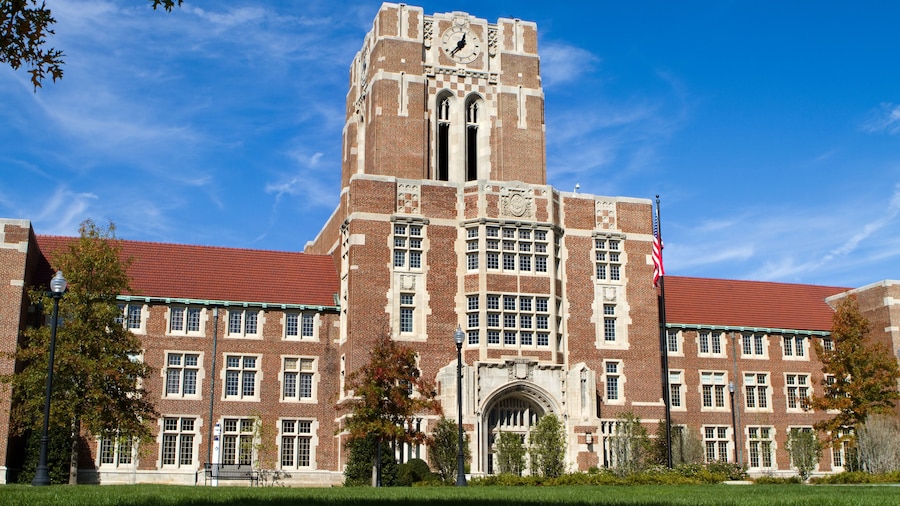 University of Tennessee (université du Tennessee)