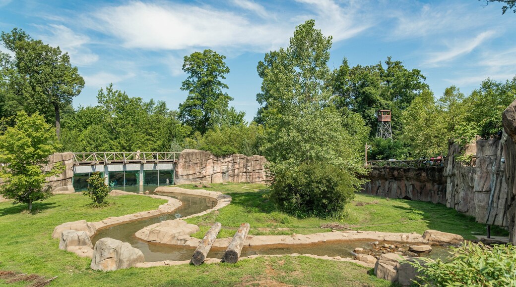Memphis Zoo which includes a park and a river or creek