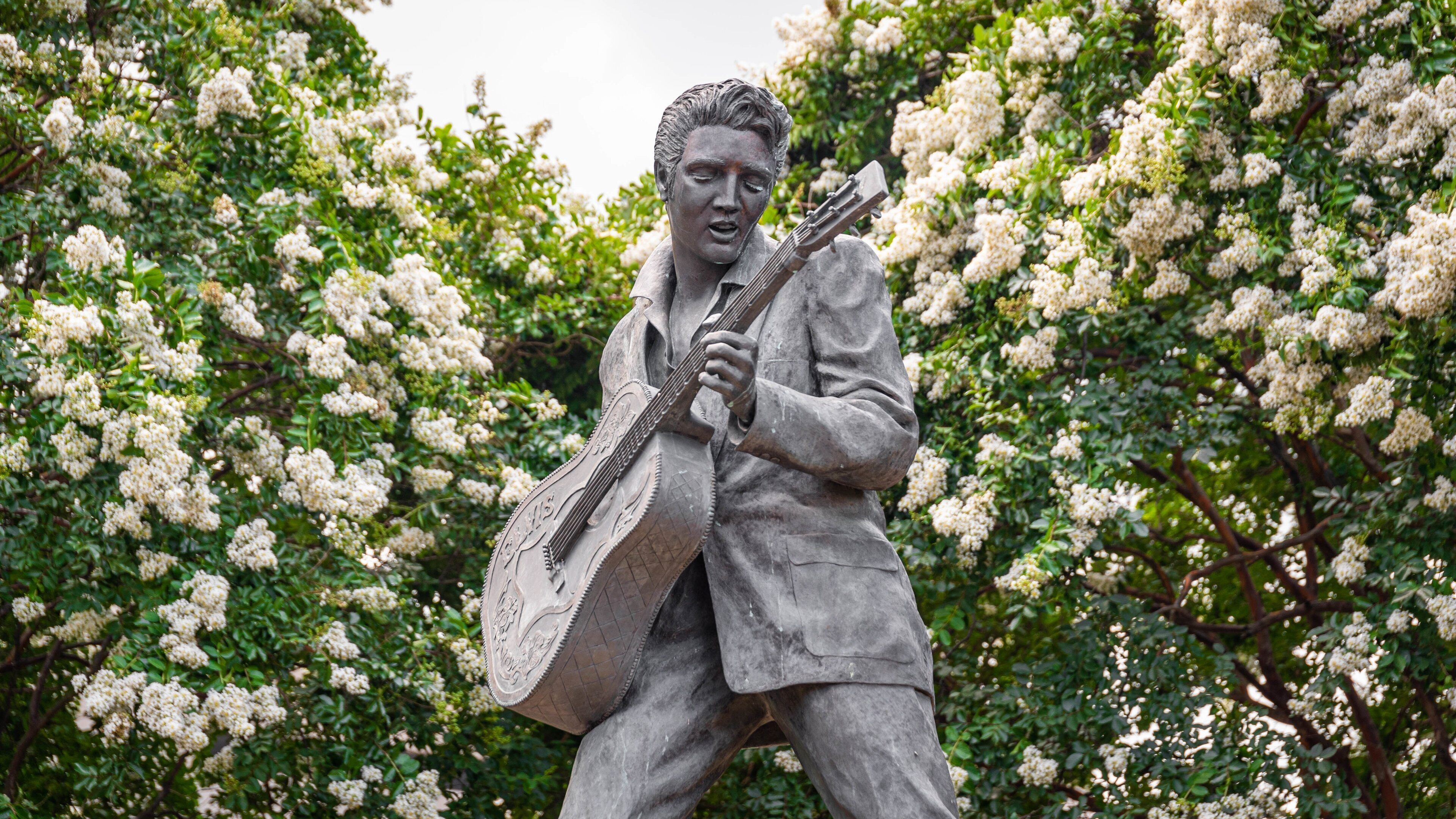 Beale Street showing a statue or sculpture and wildflowers
