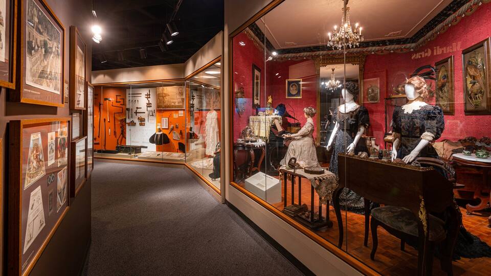 Pink Palace Museum showing interior views