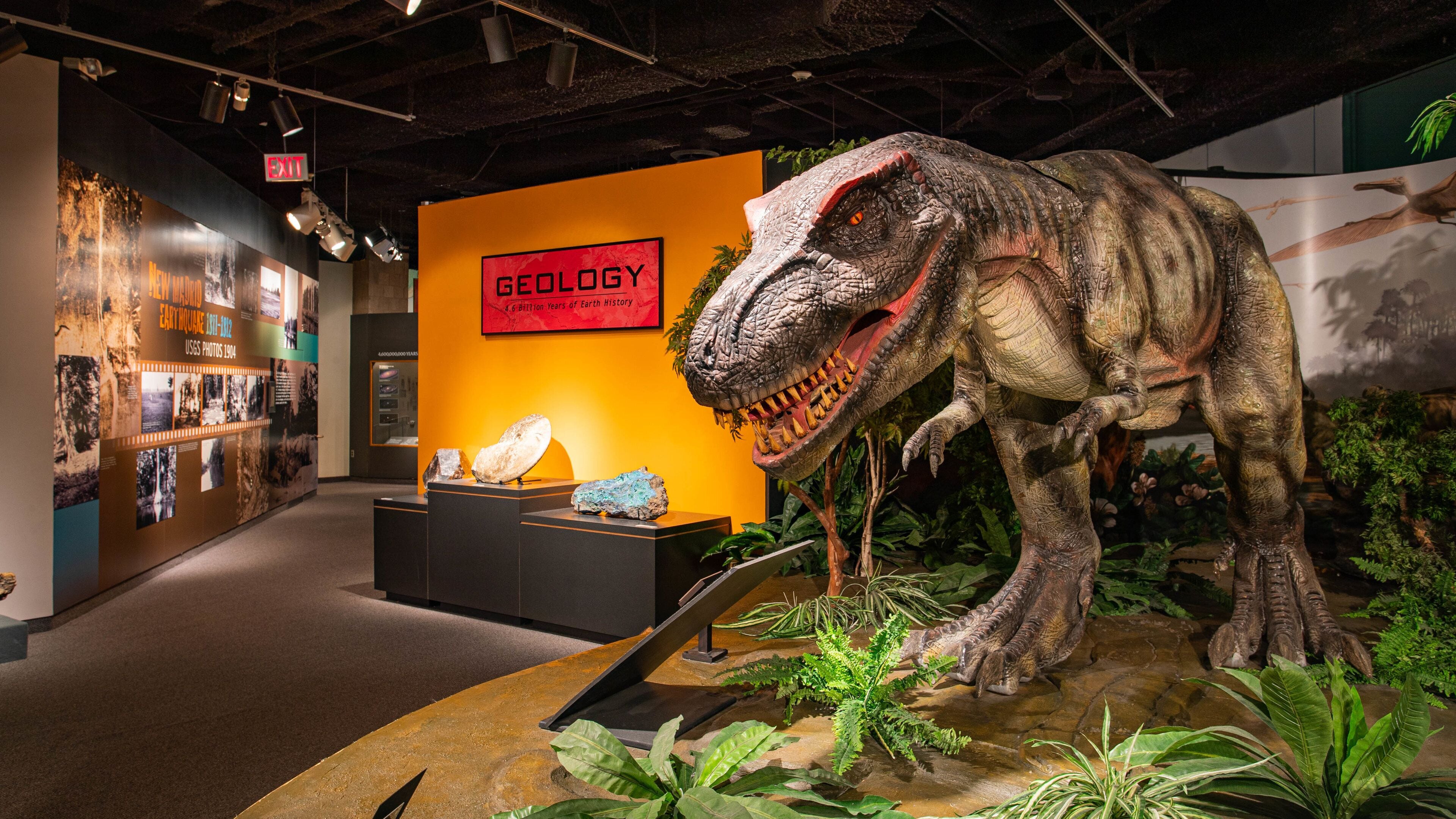 A dinosaur exhibit with a large T-Rex model, a geology display, and various fossils.