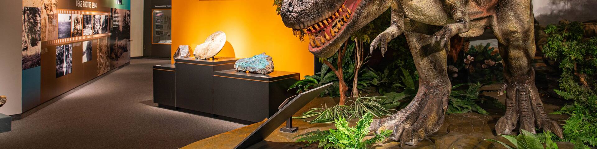Una exhibición de dinosaurios con un gran modelo de Tyrannosaurus Rex, una muestra de geología y varios fósiles.