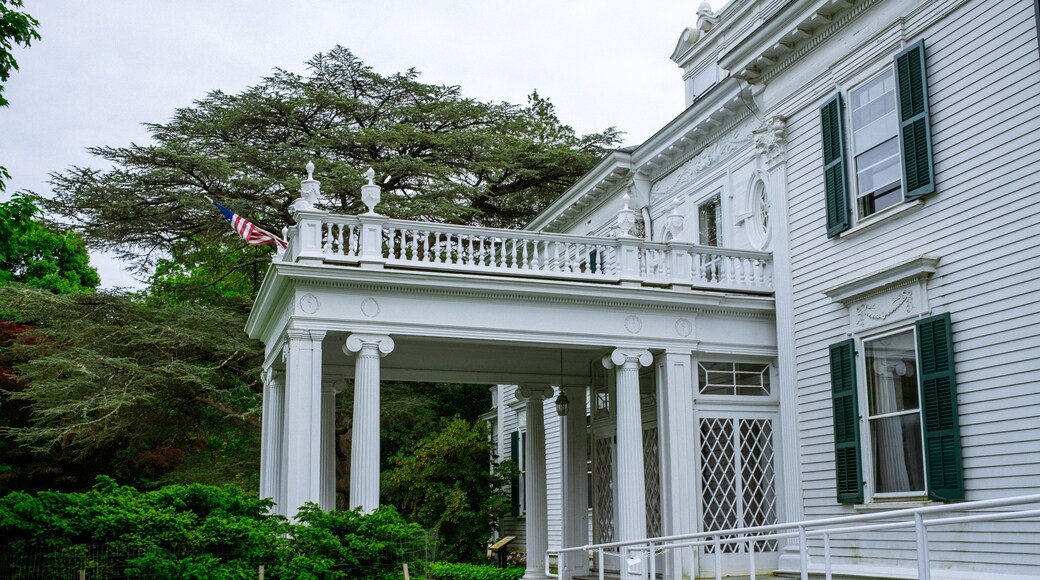 in the arboretum in the spring