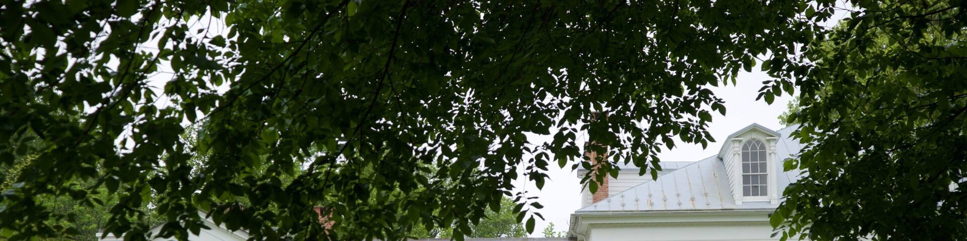 Drumthwacket showing heritage elements and a house