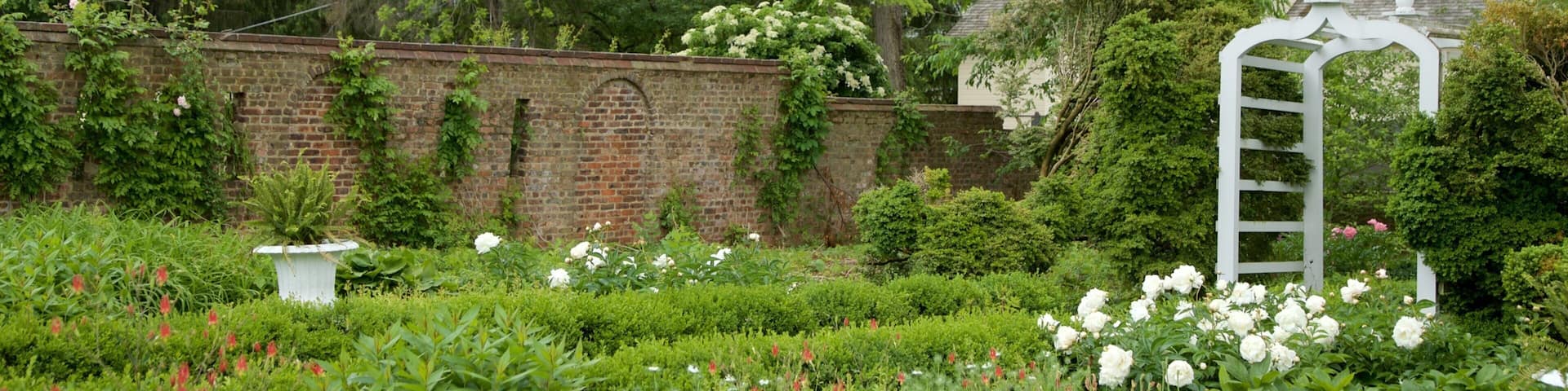 A lush garden with a brick wall, white trellis, and various flowering plants.