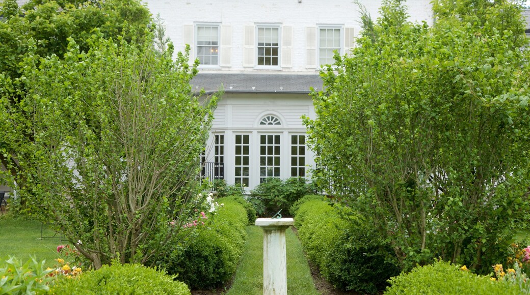 Morven showing a garden, a house and flowers