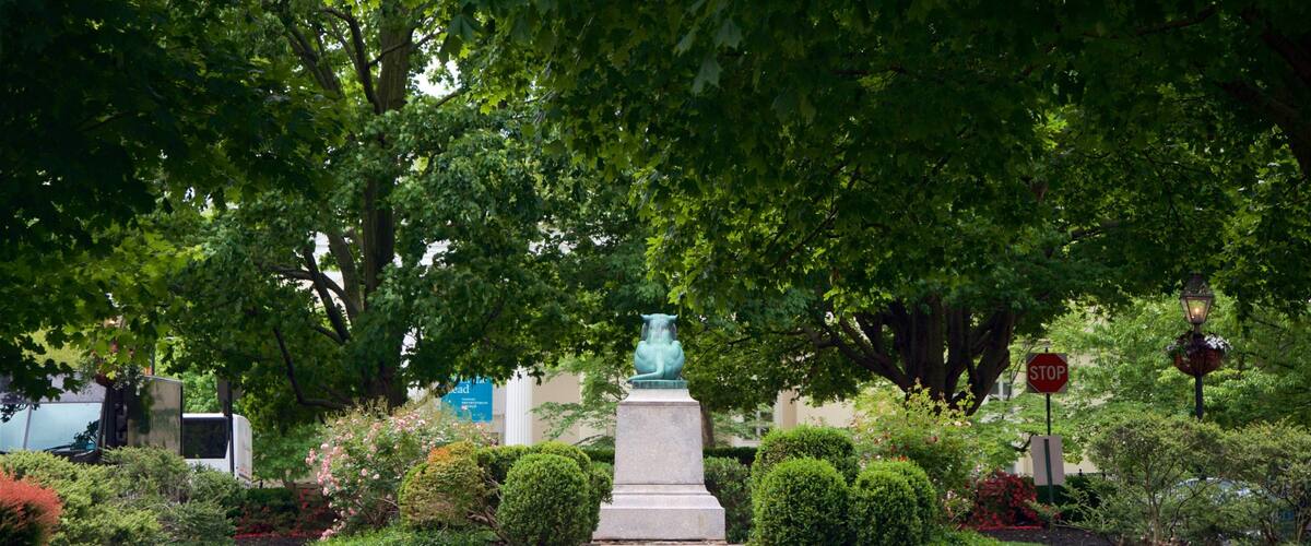 Palmer Square showing a park and outdoor art