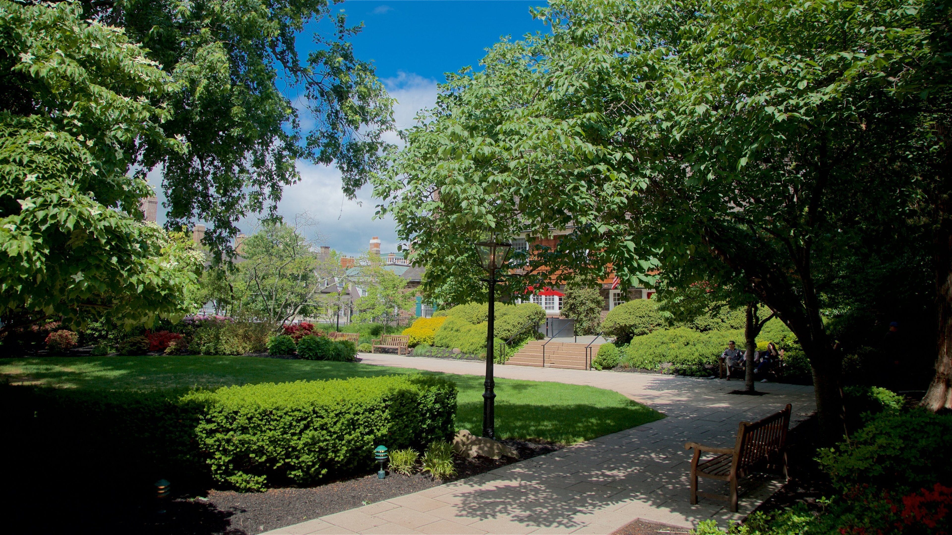 Palmer Square mostrando un jardín