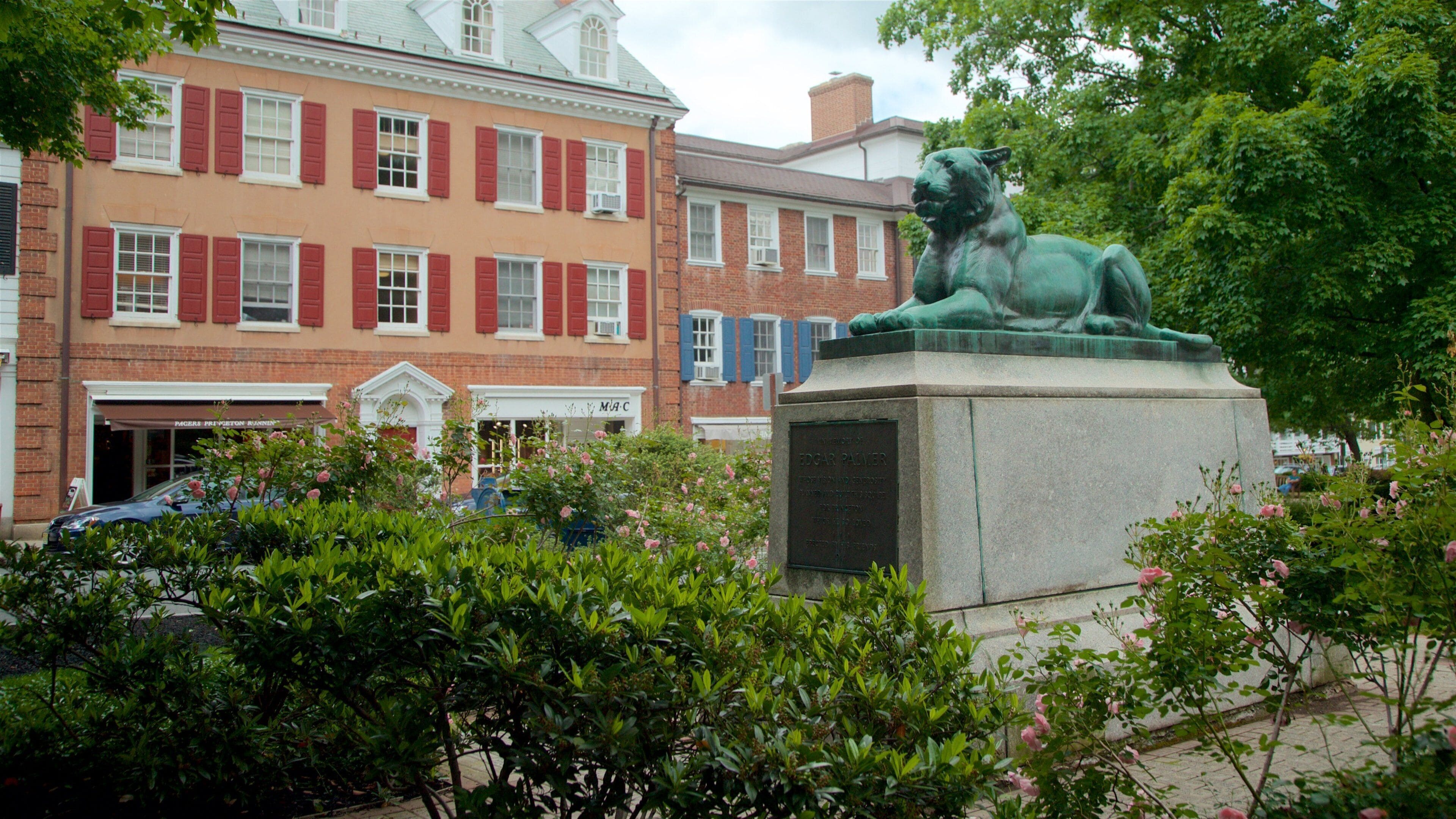 Palmer Square showing a garden