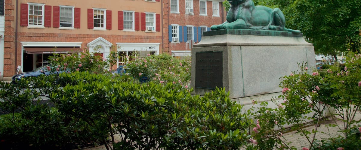 Palmer Square showing a garden
