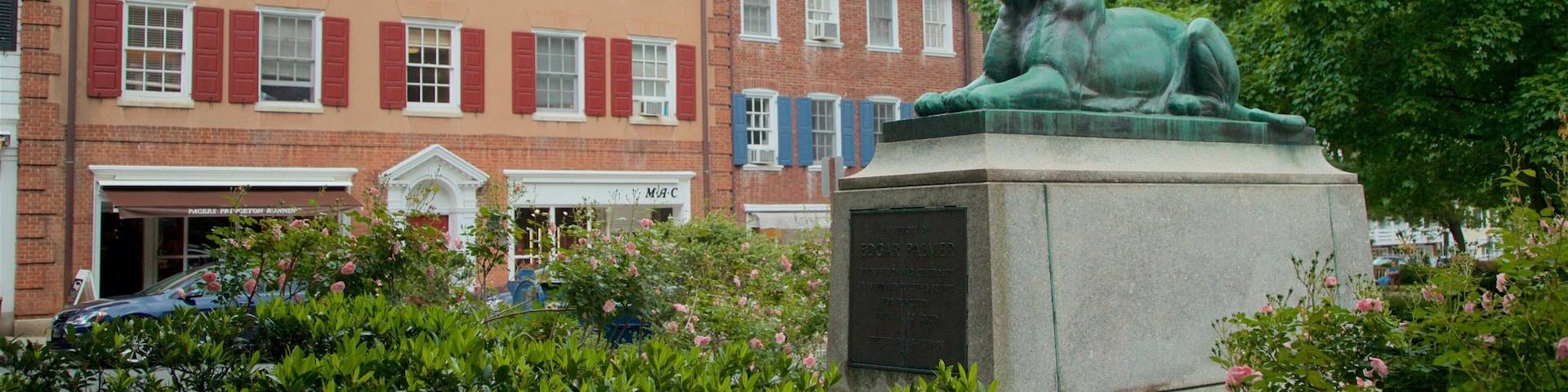 Palmer Square showing a garden