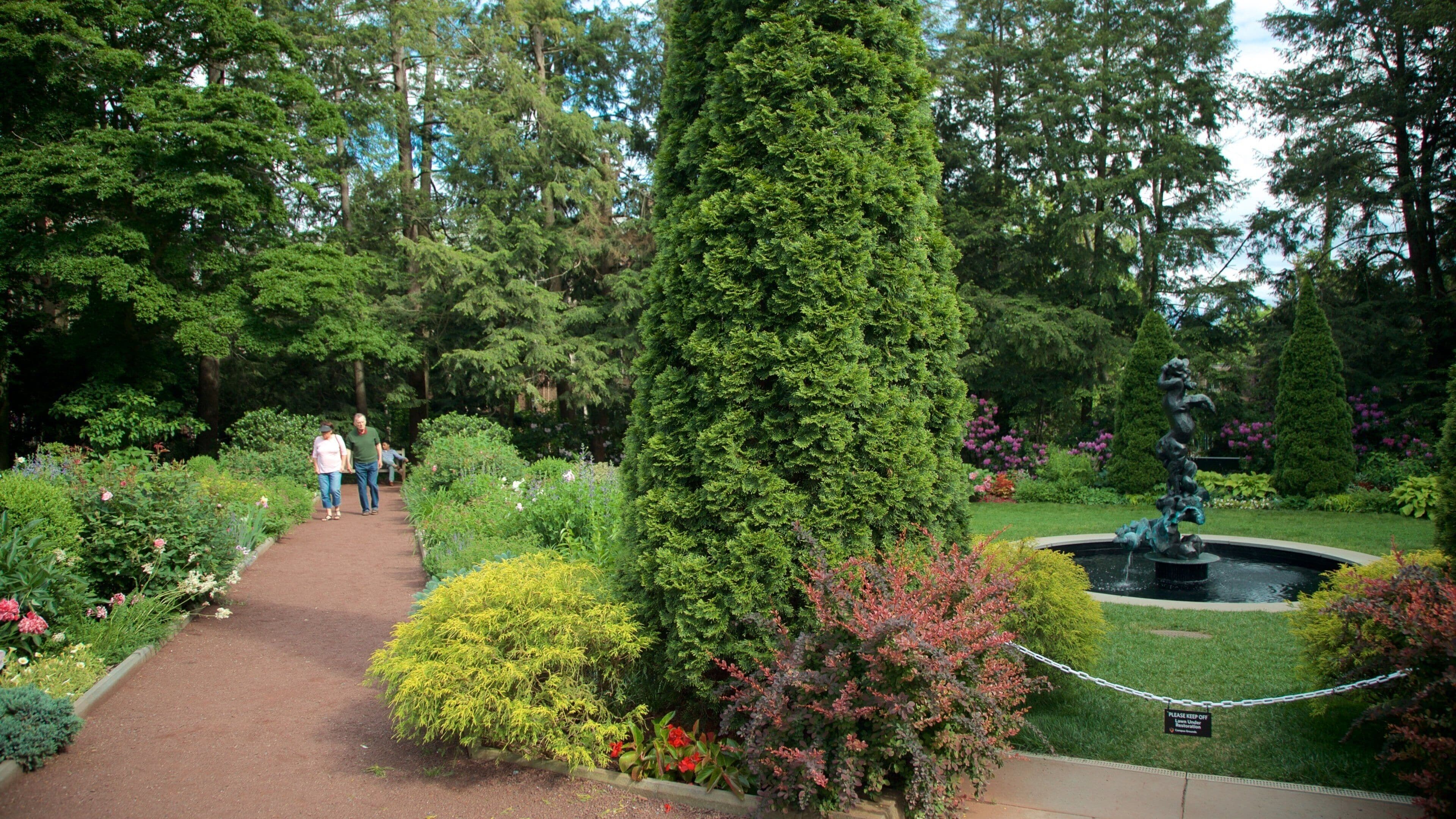 Universidad de Princeton que incluye una fuente, un jardín y escenas urbanas