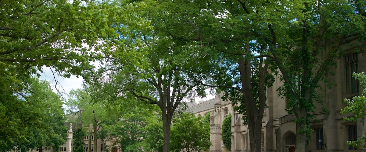 Universidad de Princeton ofreciendo un jardín y también una pareja